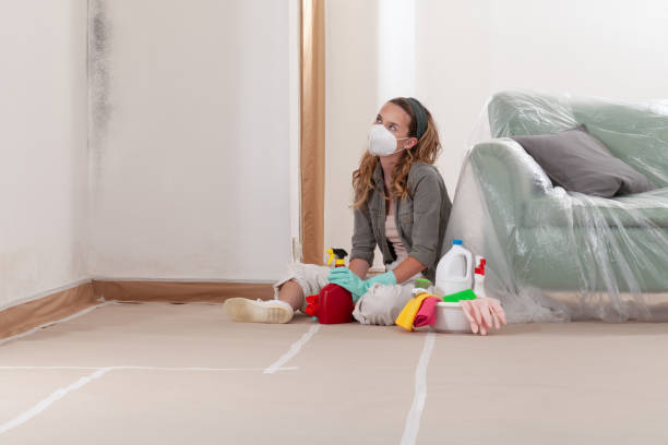 Reliable Mold Remediation contractor in Lanham, MD by 24 Hour Mold Removal